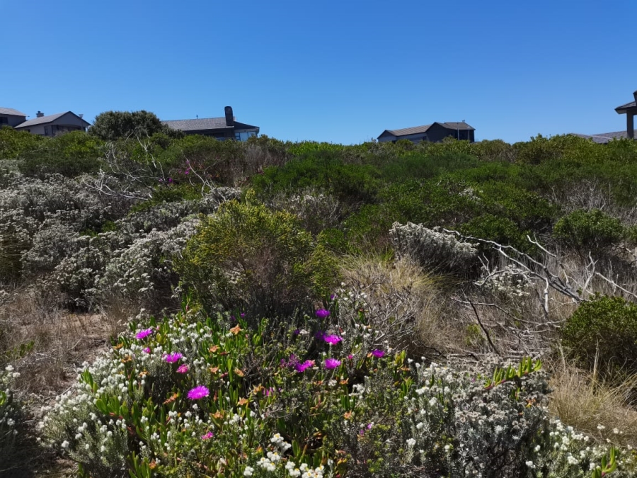 0 Bedroom Property for Sale in Heiderand Western Cape